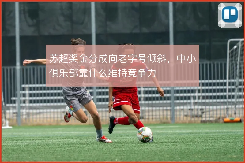 苏超奖金分成向老字号倾斜，中小俱乐部靠什么维持竞争力