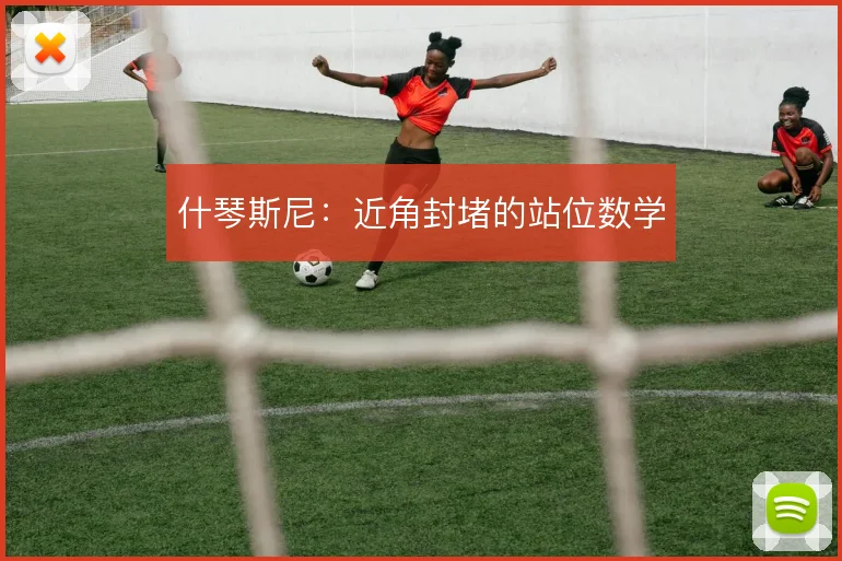 什琴斯尼:近角封堵的站位数学