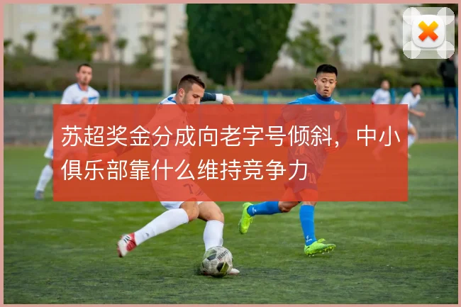 苏超奖金分成向老字号倾斜，中小俱乐部靠什么维持竞争力
